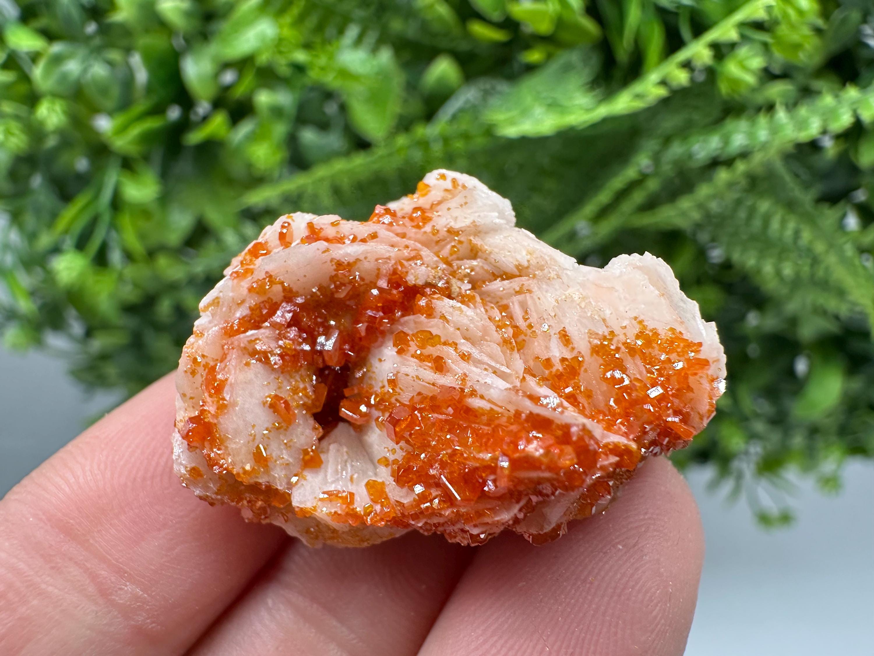 Red Vanadinite Crystals on Barite, Morocco Mineral Specimen