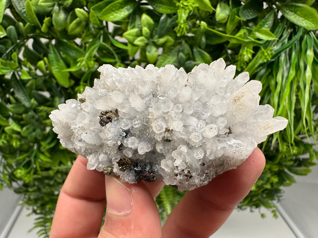 Chalcopyrite on Quartz Crystal: Borieva Mine, Bulgaria