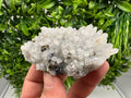 Chalcopyrite on Quartz Crystal: Borieva Mine, Bulgaria