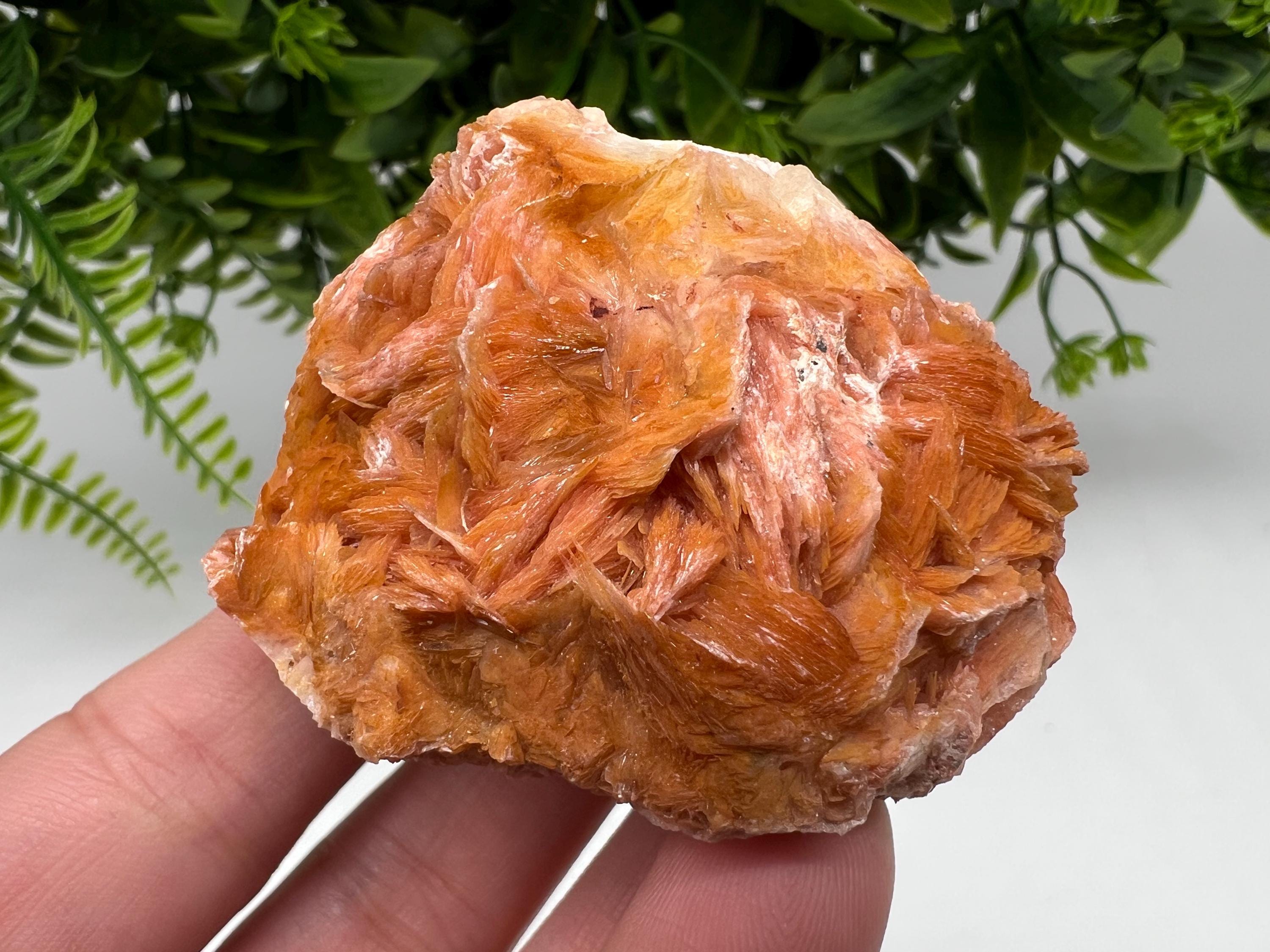 Wonderful Baryte with Cerussite on Galena from Morocco,Crystal, Mineral,Specimen,Cluster,Crystals,Barite Crystal,Cerussite Crystal,Specimen