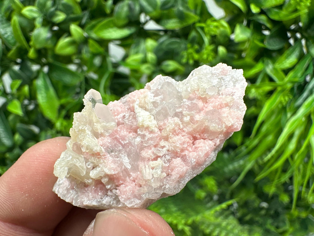 Rhodochrosite on Quartz, Starnica Mine, Bulgaria