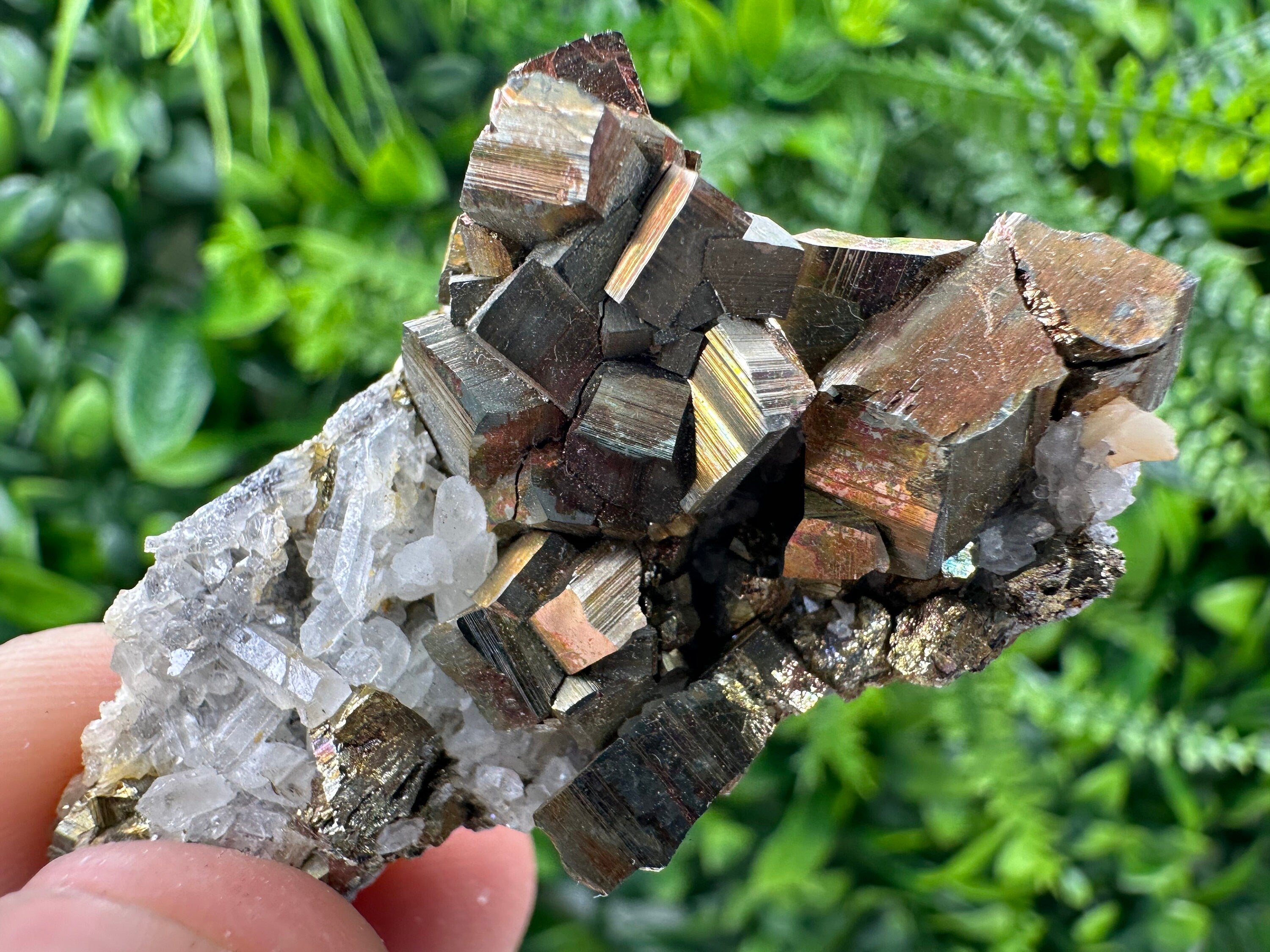 Pyrite on Quartz Specimen, Borieva Mine, Bulgaria