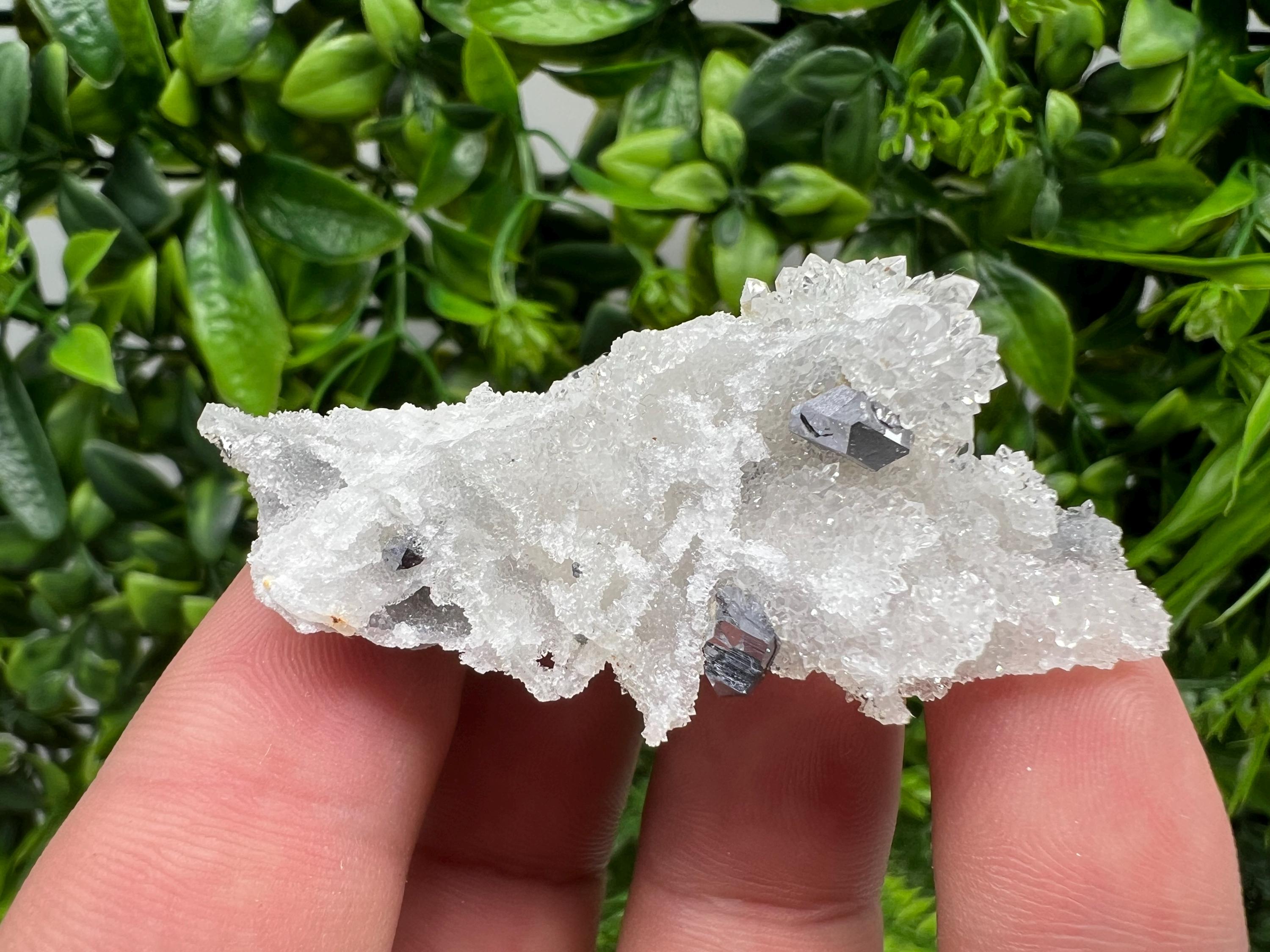 Galena on Chalcedony Specimen: Krushev Dol Mine, Bulgaria