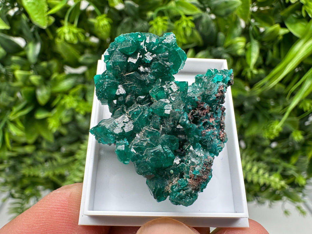Stunning Green Dioptase from Sanda Hills,Mindouli,Pool Department,Mindouli District,Congo,green Dioptase,Dioptas Crystal,Dioptase collecting