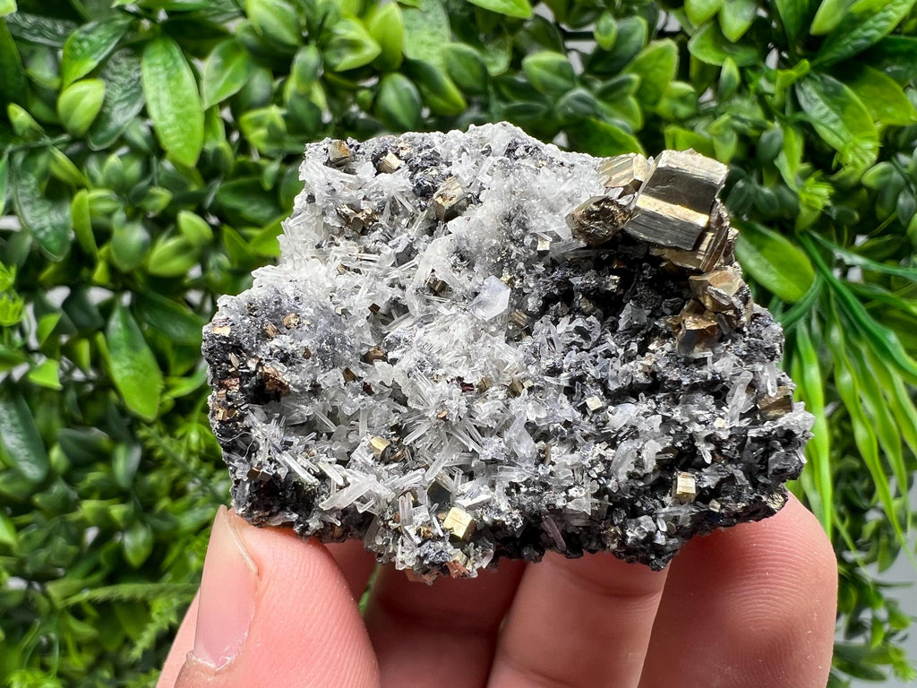 Rainbow Pyrite on Quartz, Oxide Mineral Specimen, Bulgaria