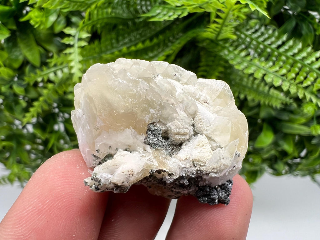 Calcite on Galena Specimen: Borieva Mine, Bulgaria
