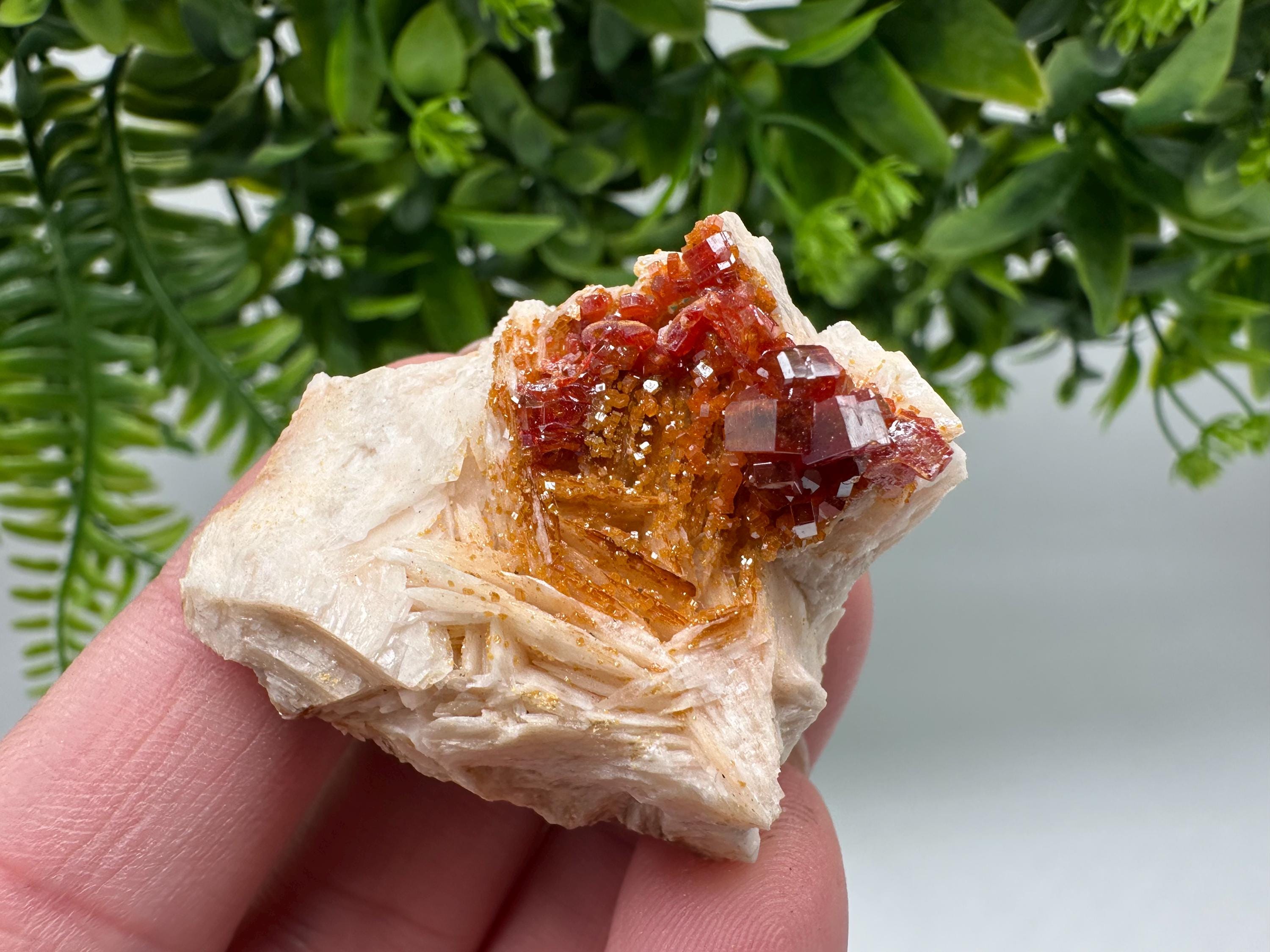 Red Vanadinite on Barite from Marocco,crystal minerals Speciment cluster Vanadinite crystal Vanadinite Geology Vanadinite cluster minerals