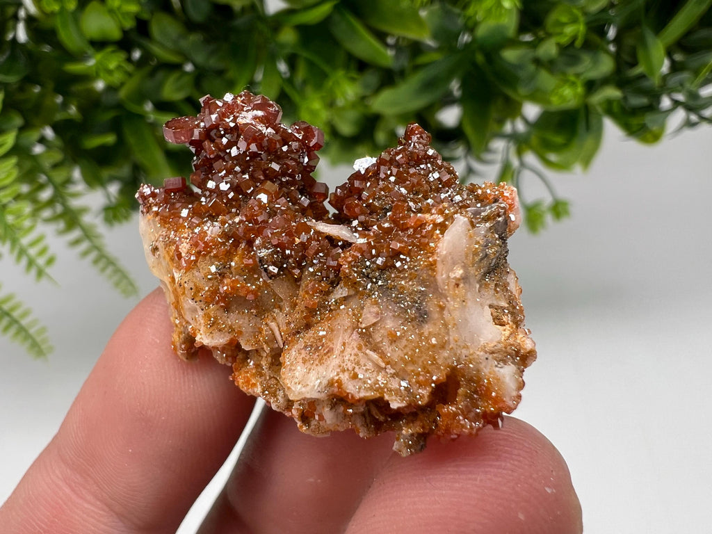 Red Vanadinite on Barite from Marocco,crystal minerals Speciment cluster Vanadinite crystal Vanadinite Geology Vanadinite cluster minerals