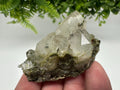 Rare Green Epidote Quartz Crystal Cluster - Eastern Anatolian Turkey