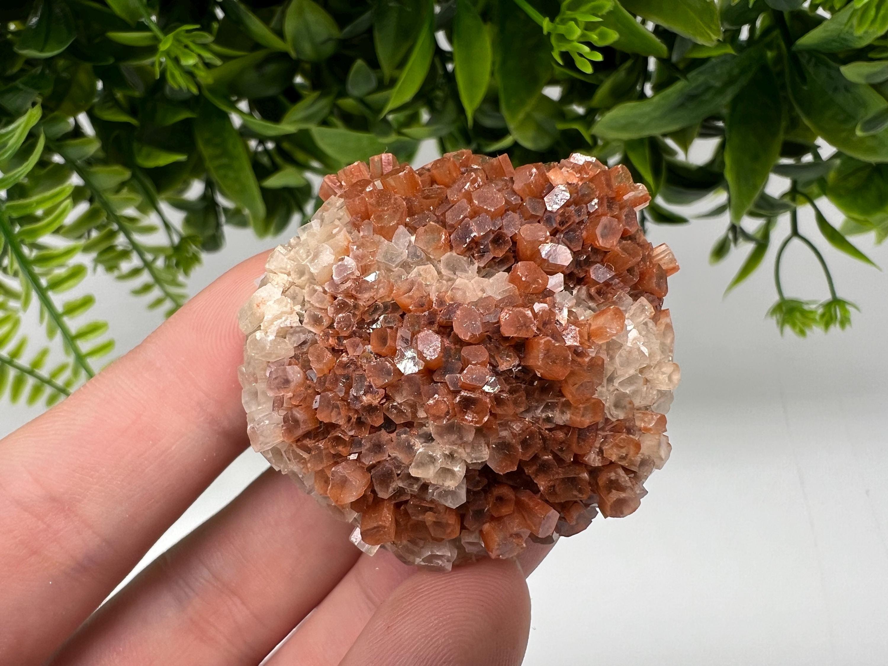 Extra Large Aragonite Sputnik Cluster: Moroccan Raw Crystal Stone