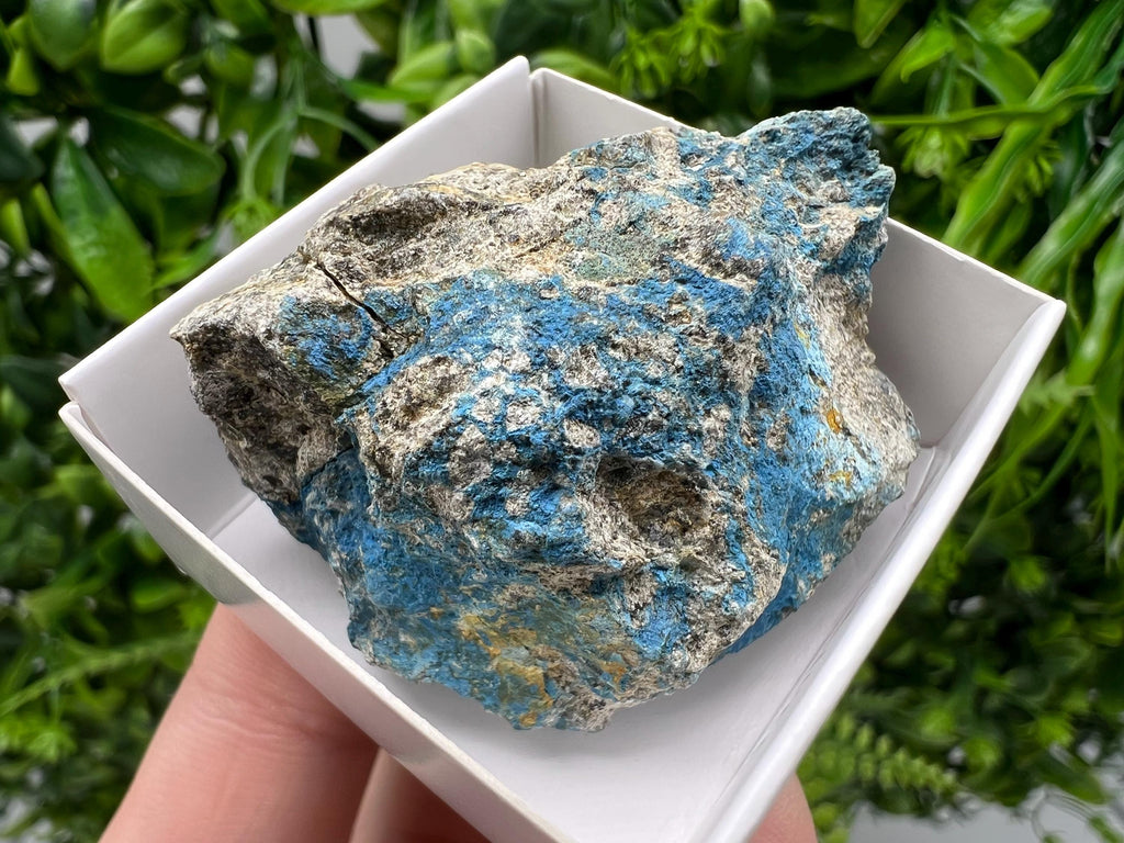 Rare Raw Aerinite Mineral Specimen: Lleida, Spain Crystal (4/3.5cm