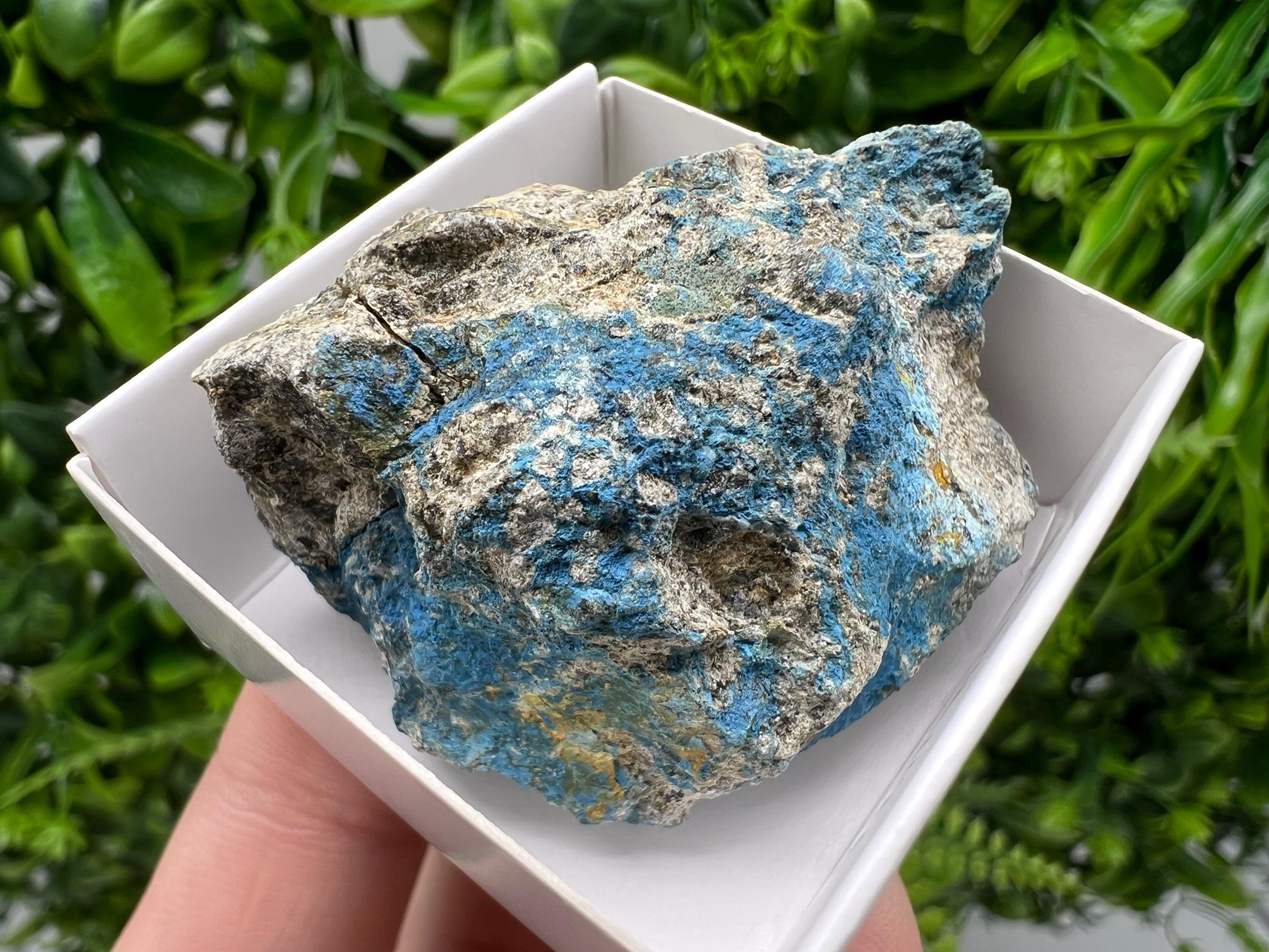 Rare Raw Aerinite Mineral Specimen: Lleida, Spain Crystal (4/3.5cm