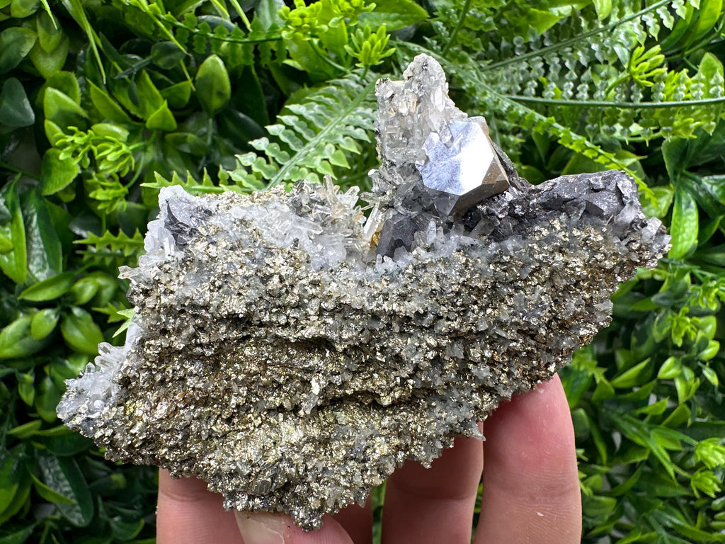 Galena with Quartz on Pyrite, Borieva Mine Mineral Specimen