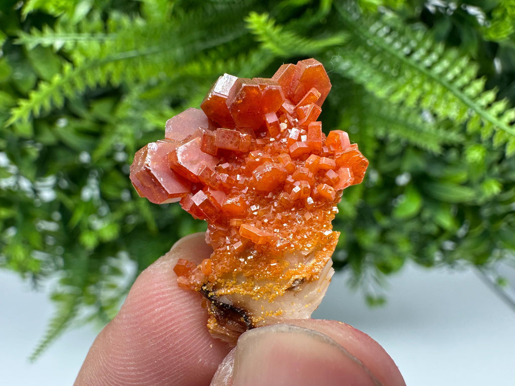 Red Vanadinite on Barite from Marocco,crystal minerals Speciment cluster Vanadinite crystal Vanadinite Geology Vanadinite cluster minerals