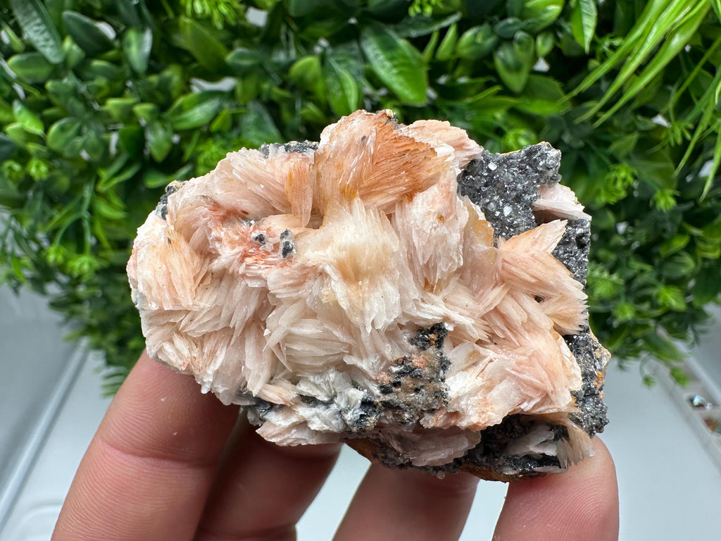 Wonderful Baryte with Cerussite on Galena from Morocco,Crystal, Mineral,Specimen,Cluster,Crystals,Barite Crystal,Cerussite Crystal,Specimen