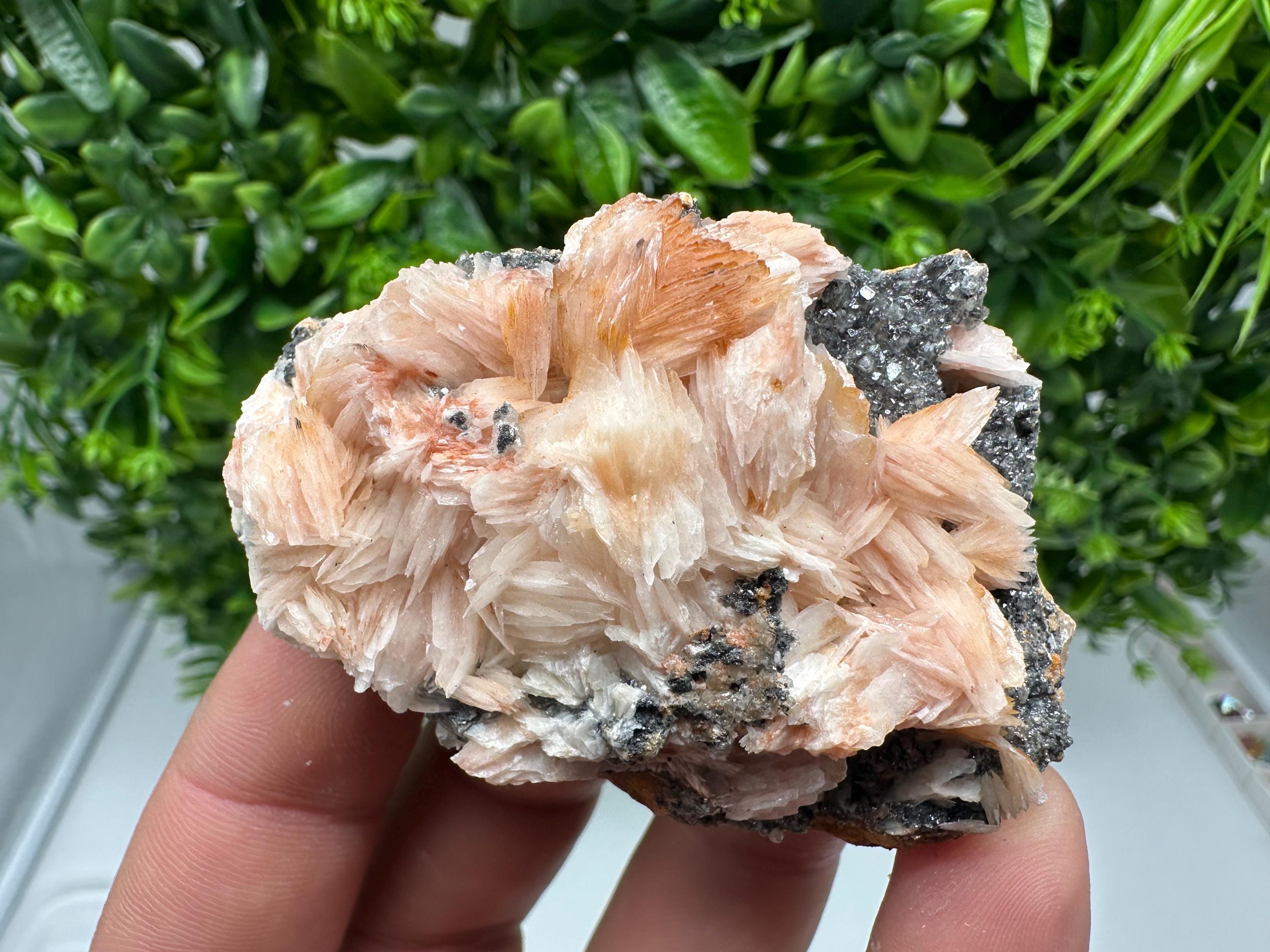 Wonderful Baryte with Cerussite on Galena from Morocco,Crystal, Mineral,Specimen,Cluster,Crystals,Barite Crystal,Cerussite Crystal,Specimen