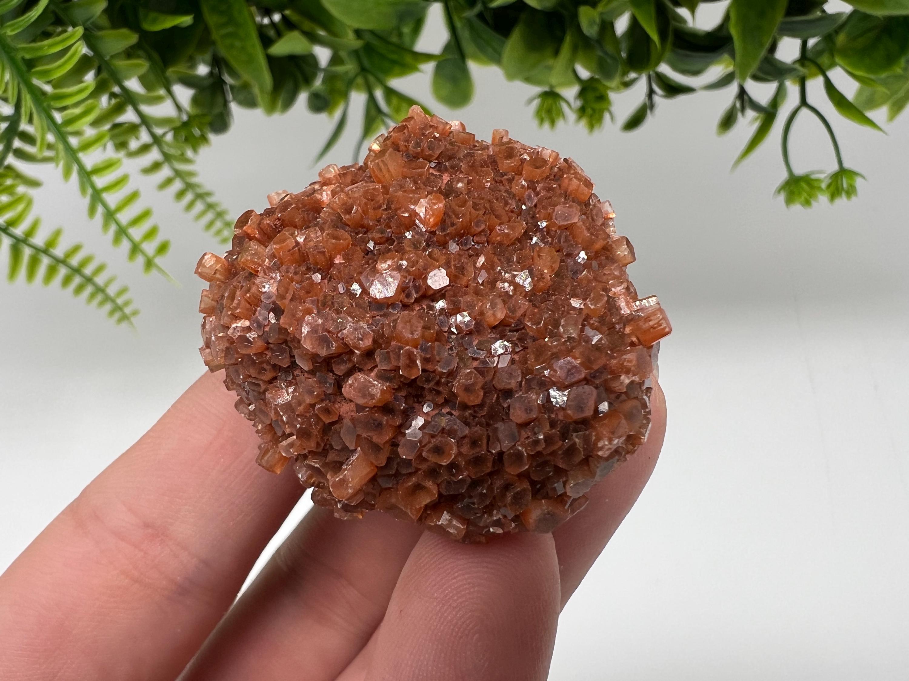 Extra Large Aragonite Sputnik Cluster: Raw Moroccan Crystal Stone