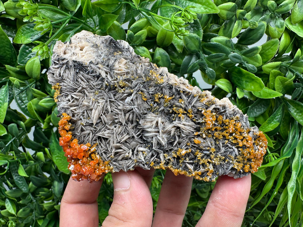 Red Vanadinite Crystal Cluster on Barite with Goethite, Morocco