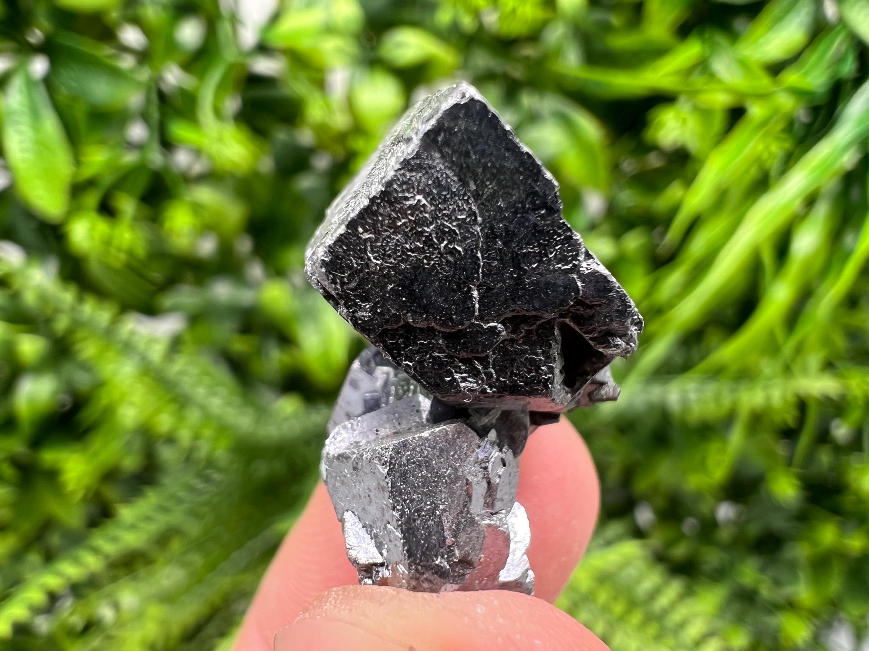Shiny Galena Cluster: Borieva Mine, Madan Bulgaria