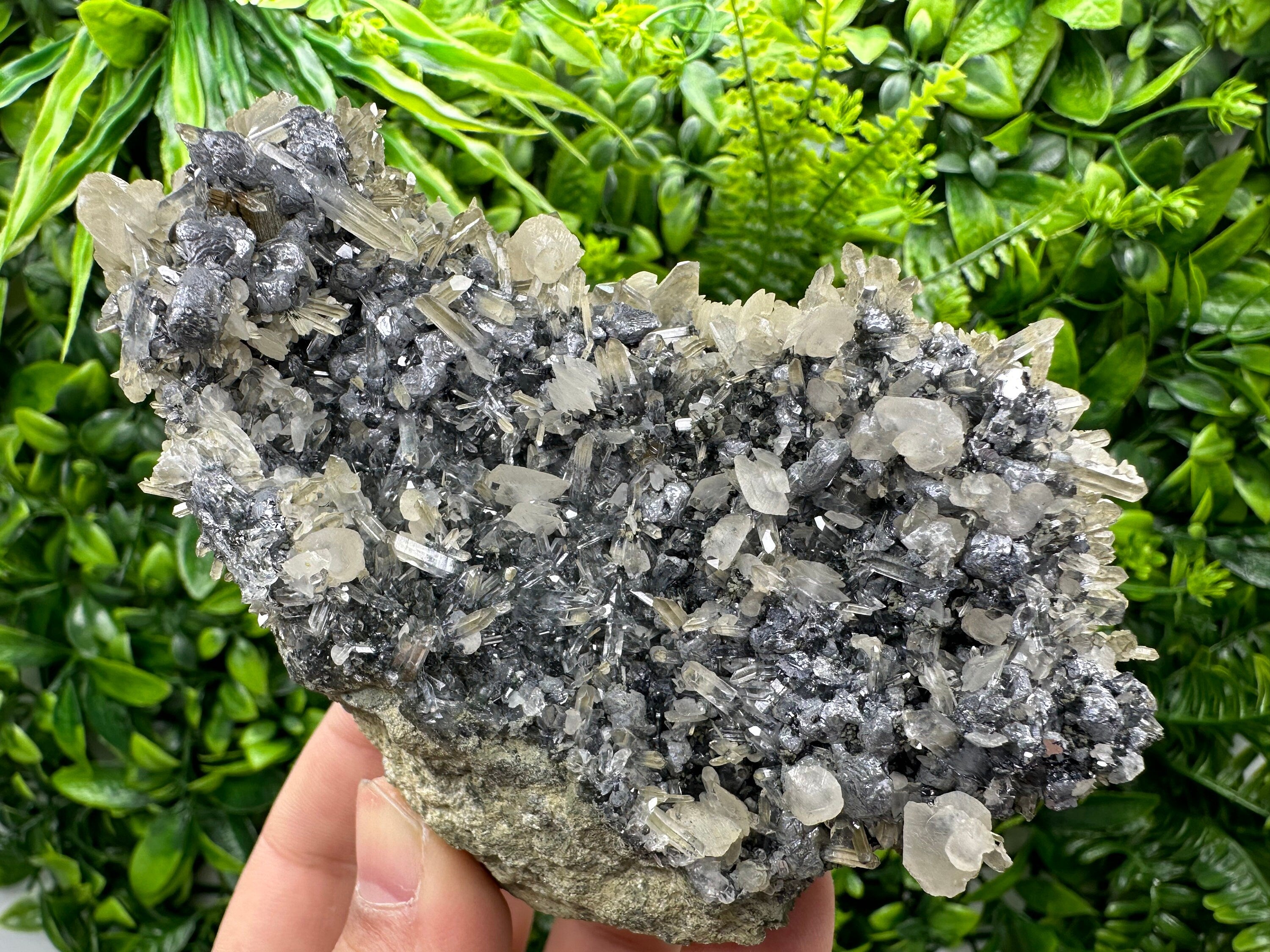 Calcite Quartz on Galena Mineral Specimen: Borieva Mine, Bulgaria