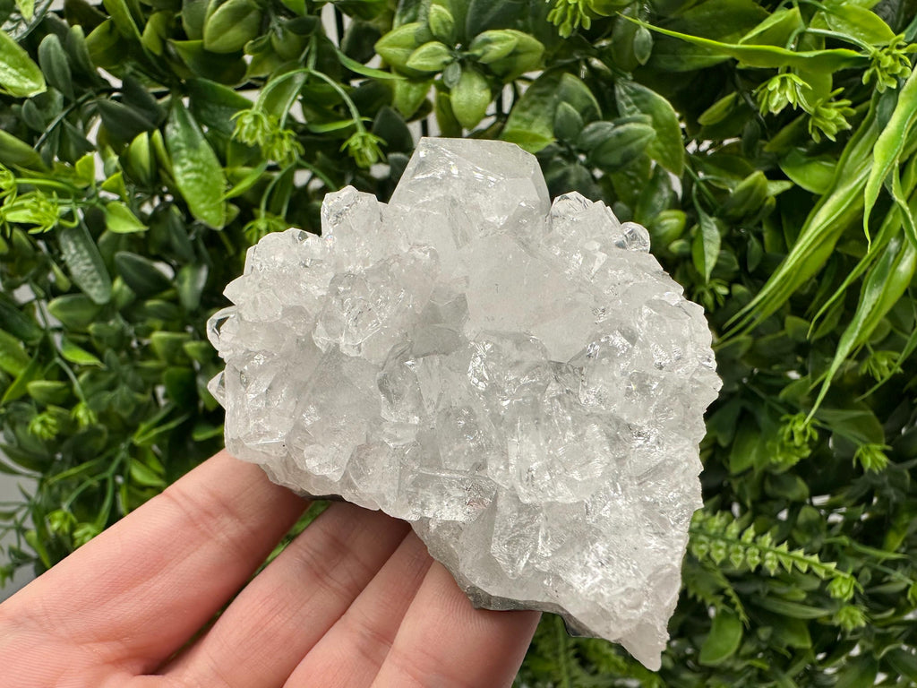 Apophyllite on Chalcedony Specimen: India Minerals Collection