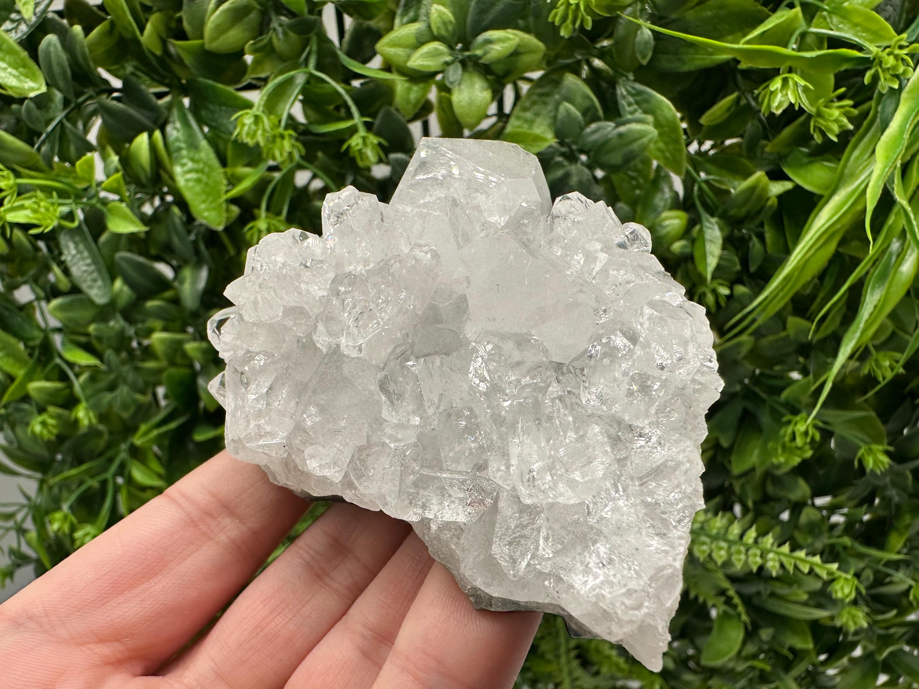Apophyllite on Chalcedony Specimen: India Minerals Collection