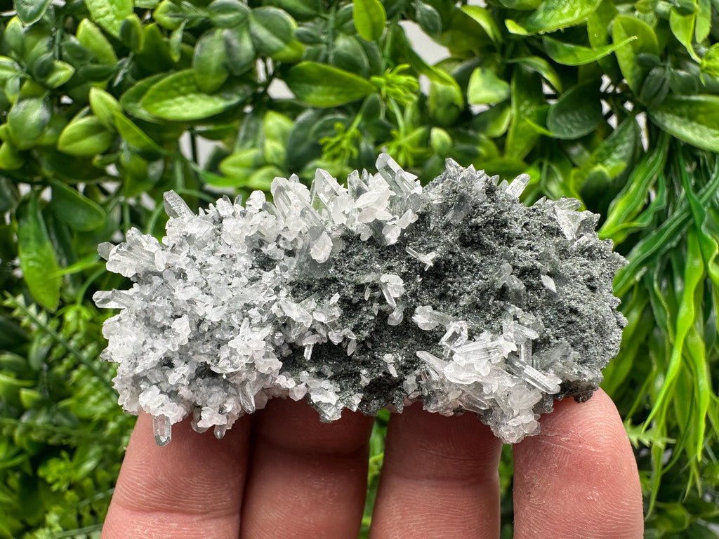 Transparent Quartz on Chlorite Matrix, Borieva Mine Mineral Specimen