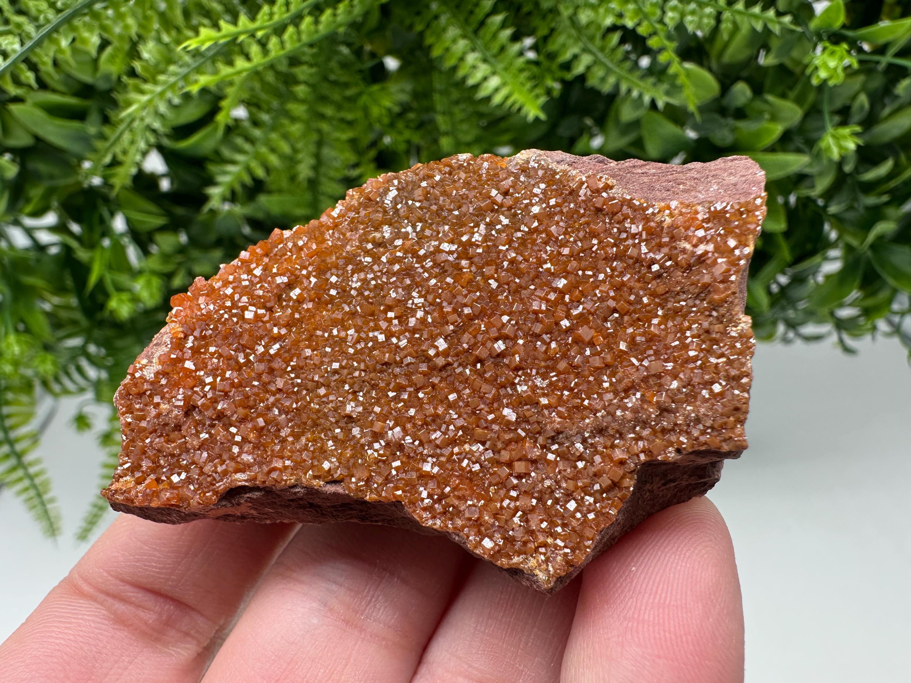 Red Vanadinite on Matrix from Marocco,crystal minerals Speciment cluster Vanadinite crystal Vanadinite Geology Vanadinite cluster minerals