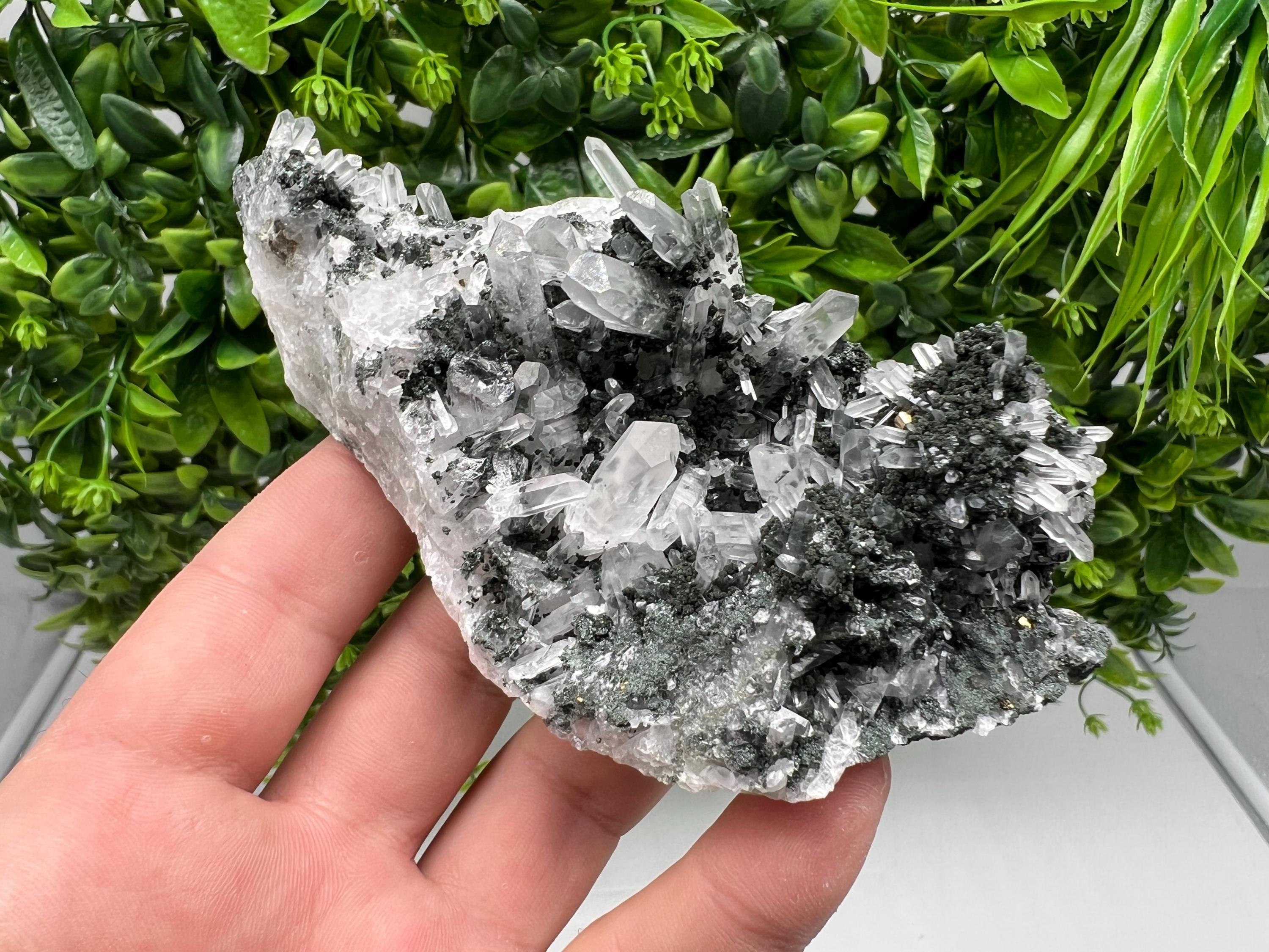 Chlorite Quartz Crystal Cluster - Borieva Mine, Bulgaria