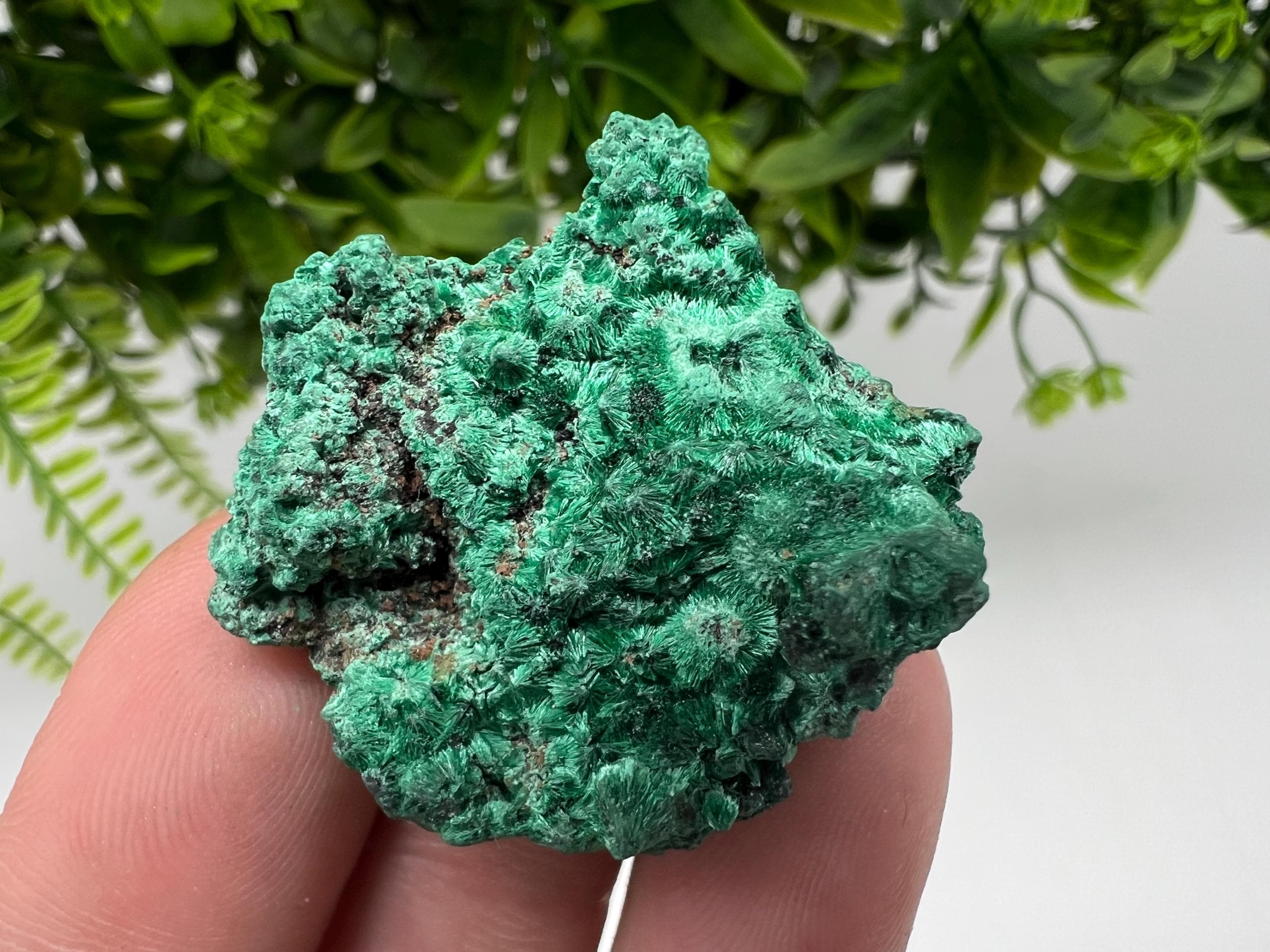 Malachite Crystal from Congo,Minerals,Crystals from Congo,Green Malachite, Malachite,Natural Malachite,Malachite Stone,Chakra, Specimens