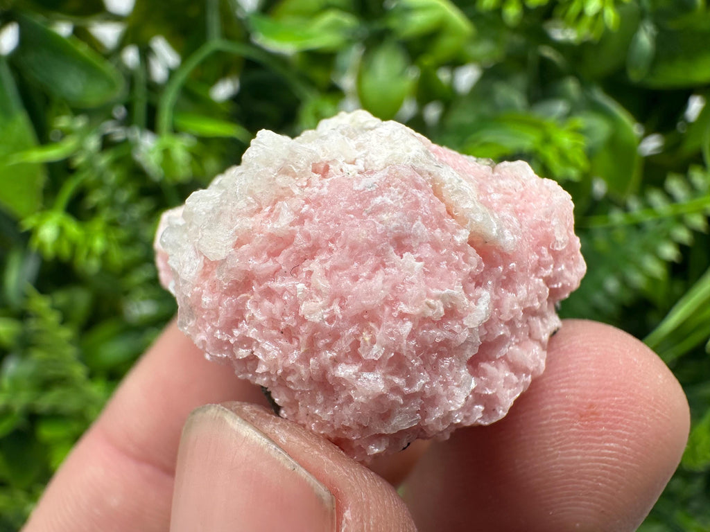 Rhodochrosite on Quartz Crystal, Starnica Mine, Bulgaria