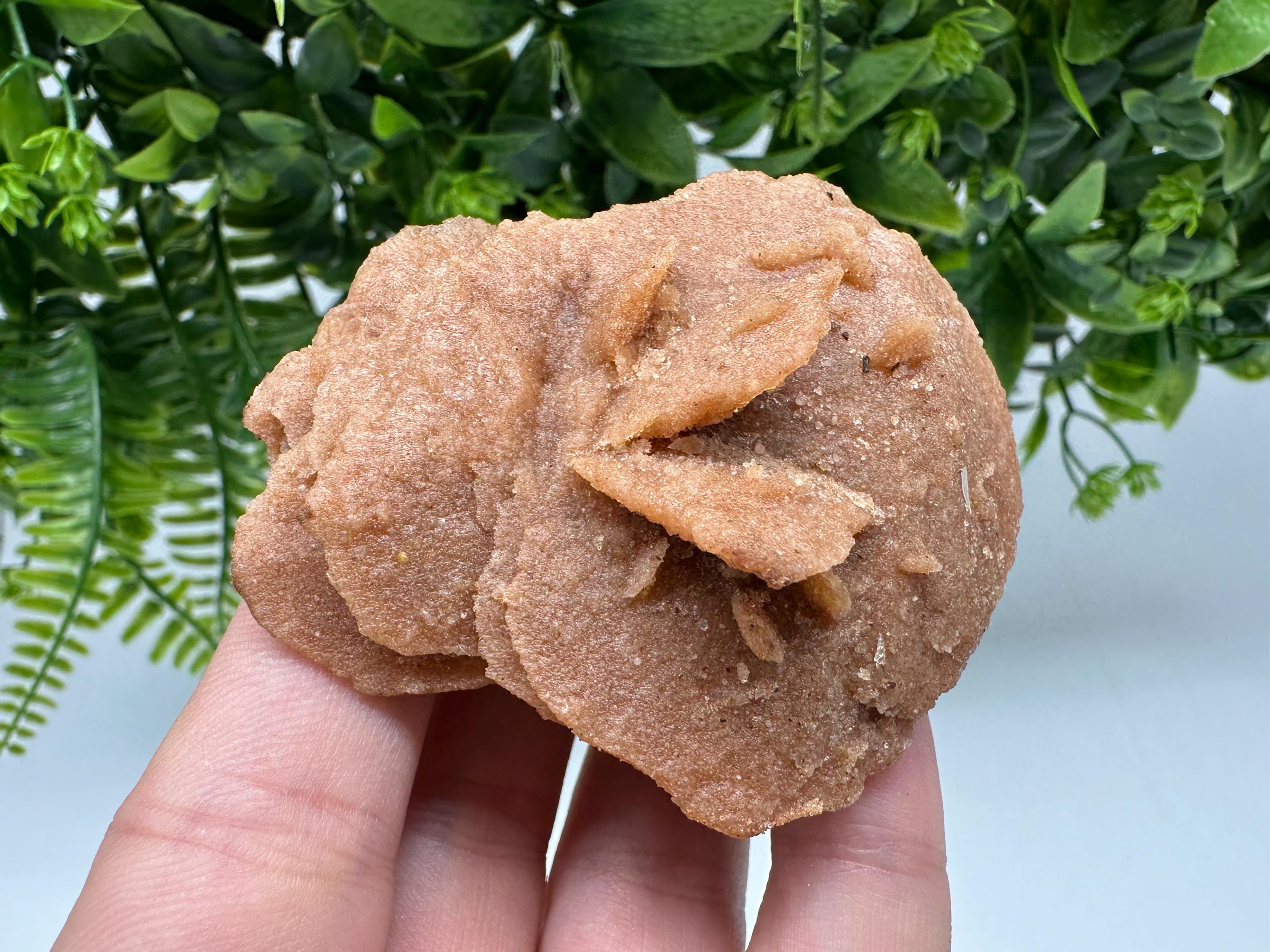 Natural Desert Rose Crystal – Root Chakra Healing Selenite Stone