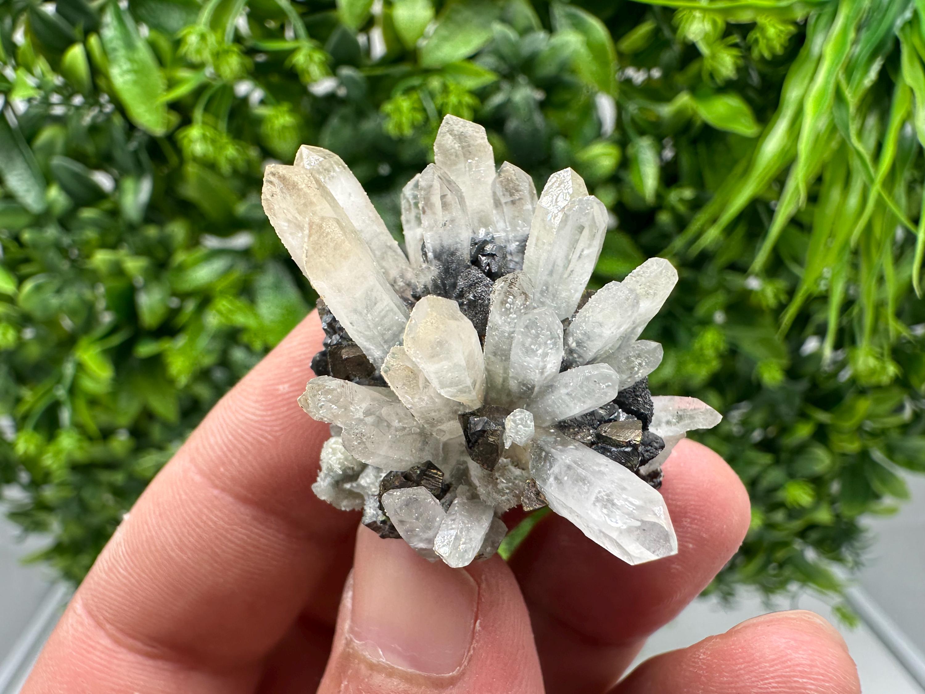 Wonderful Sphalerite Chalcopyrite on Green Quartz whit Hematite feom 9 th September mine,Bulgaria,natural,collection mineral specimen,gift