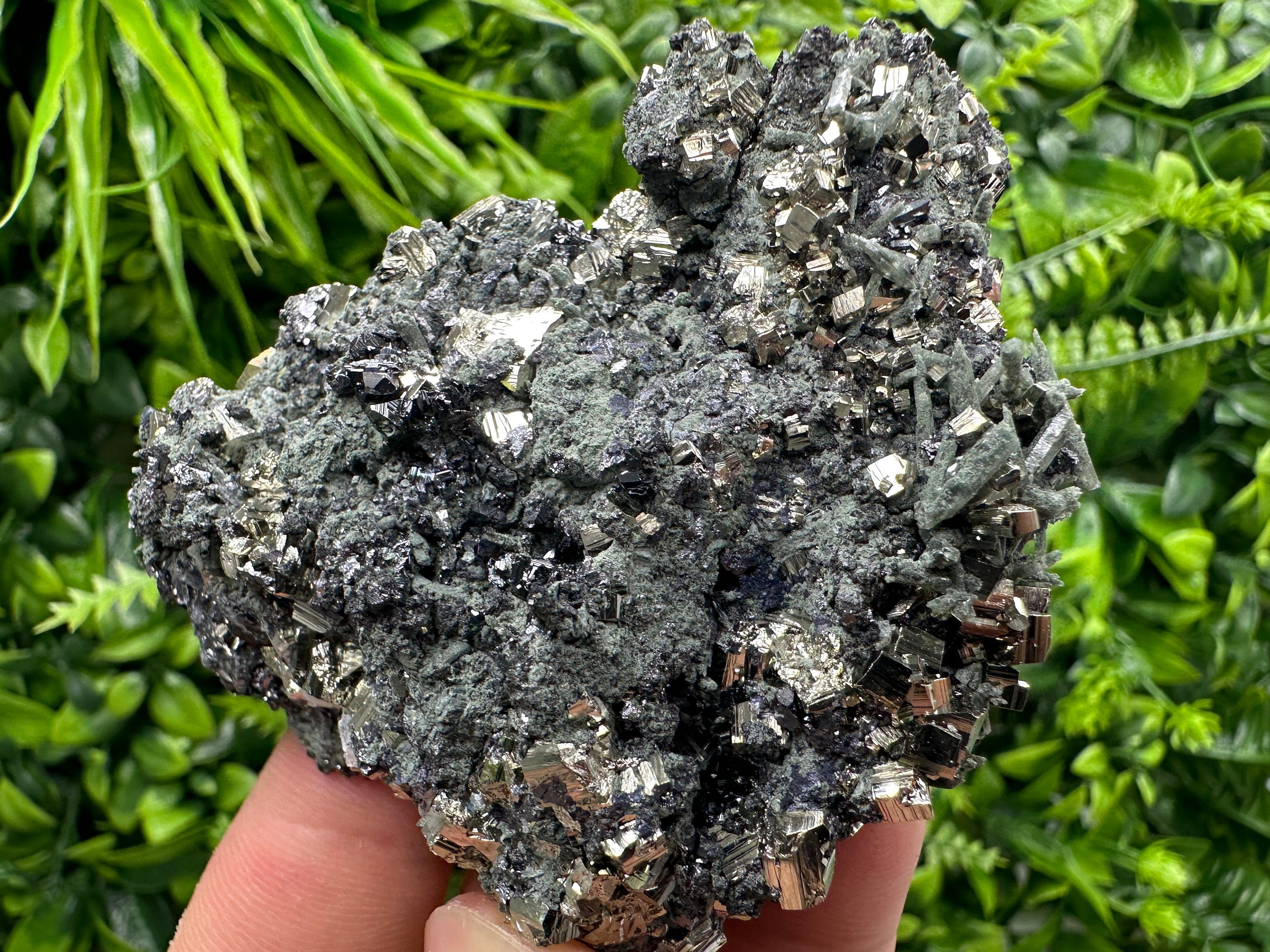 Pyrite Sphalerite on Quartz with Chlorite, Bulgaria Mineral Specimen