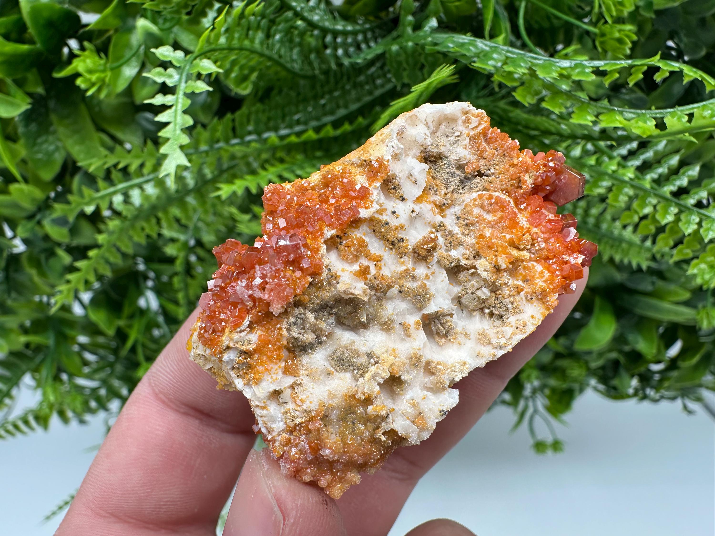 Red Vanadinite on Barite, Morocco Mineral Specimen