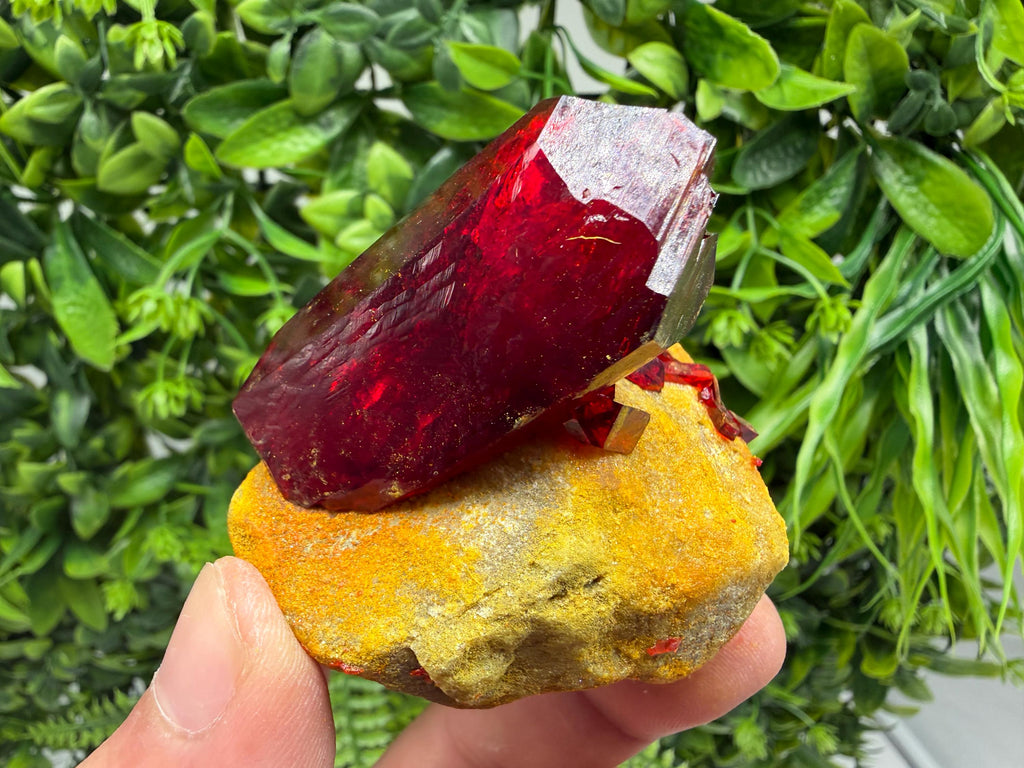 XXL Laboratory Pruskite Ruby Crystal on Matrix