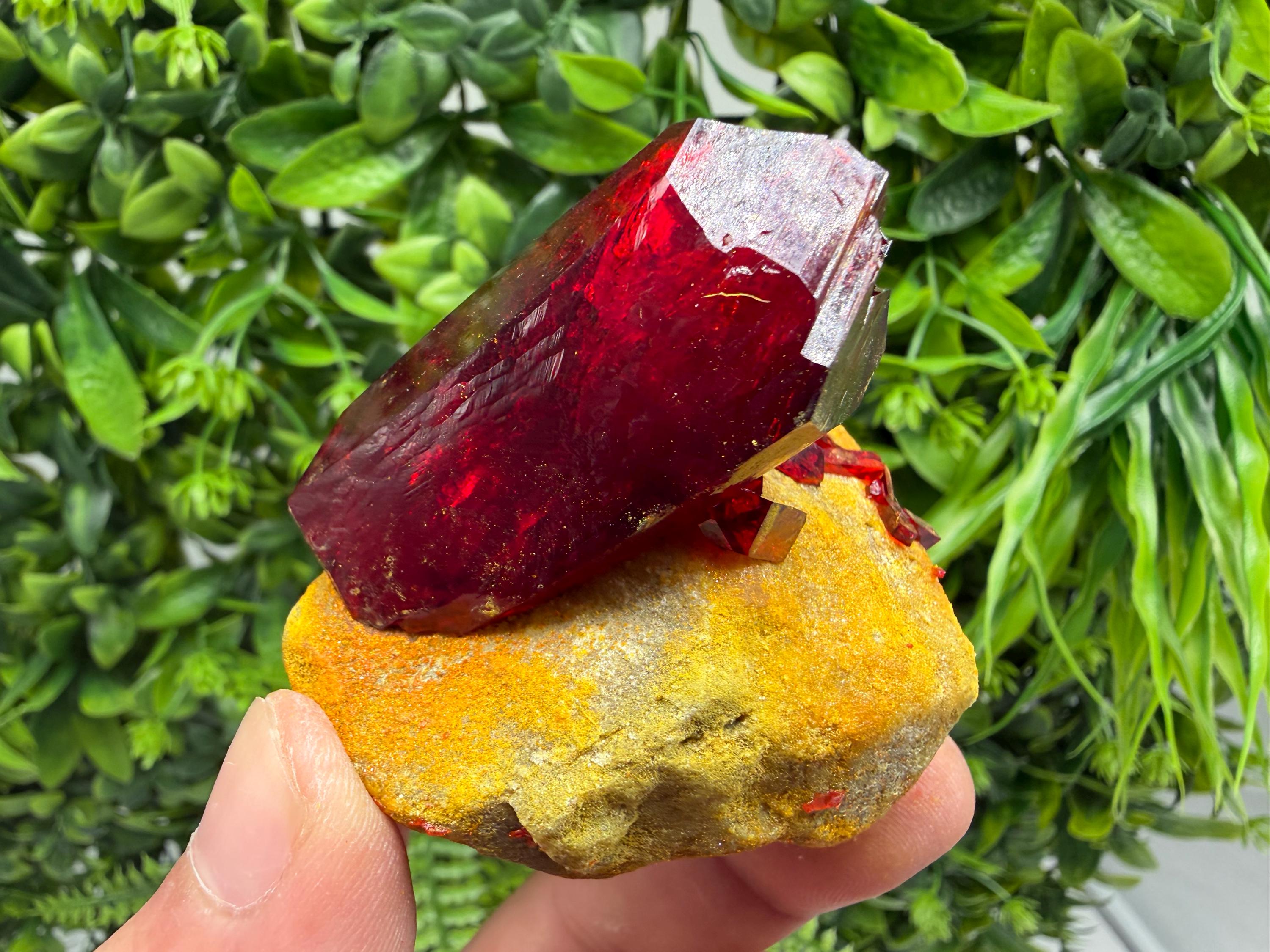 XXL Laboratory Pruskite Ruby Crystal on Matrix