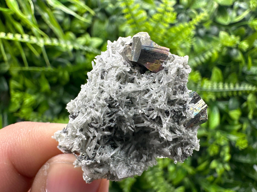 Pyrite on Green Quartz Mineral Specimen, Borieva Mine Crystal