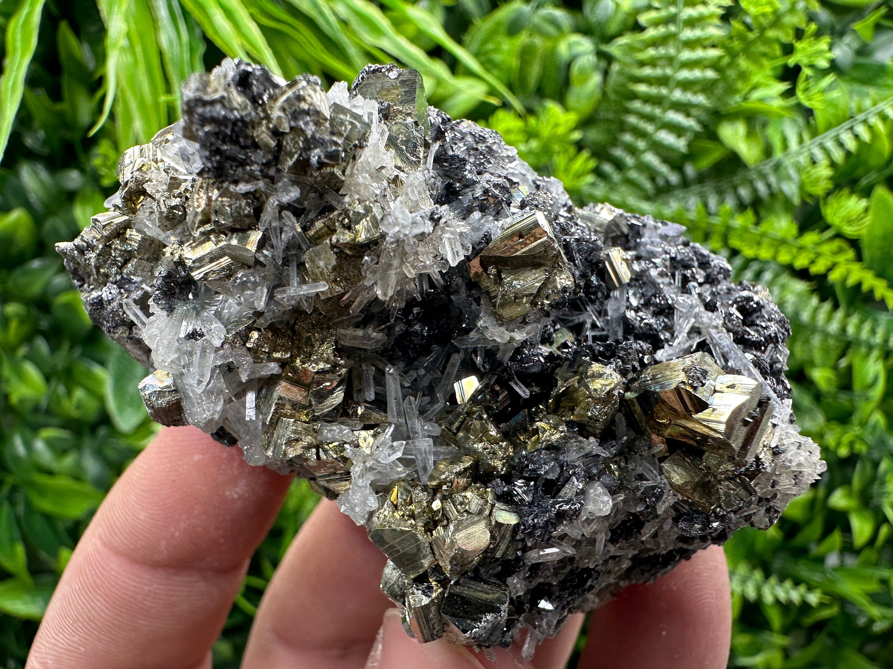 Rainbow Pyrite, Sphalerite and Quartz Mineral Specimen, Borieva Mine
