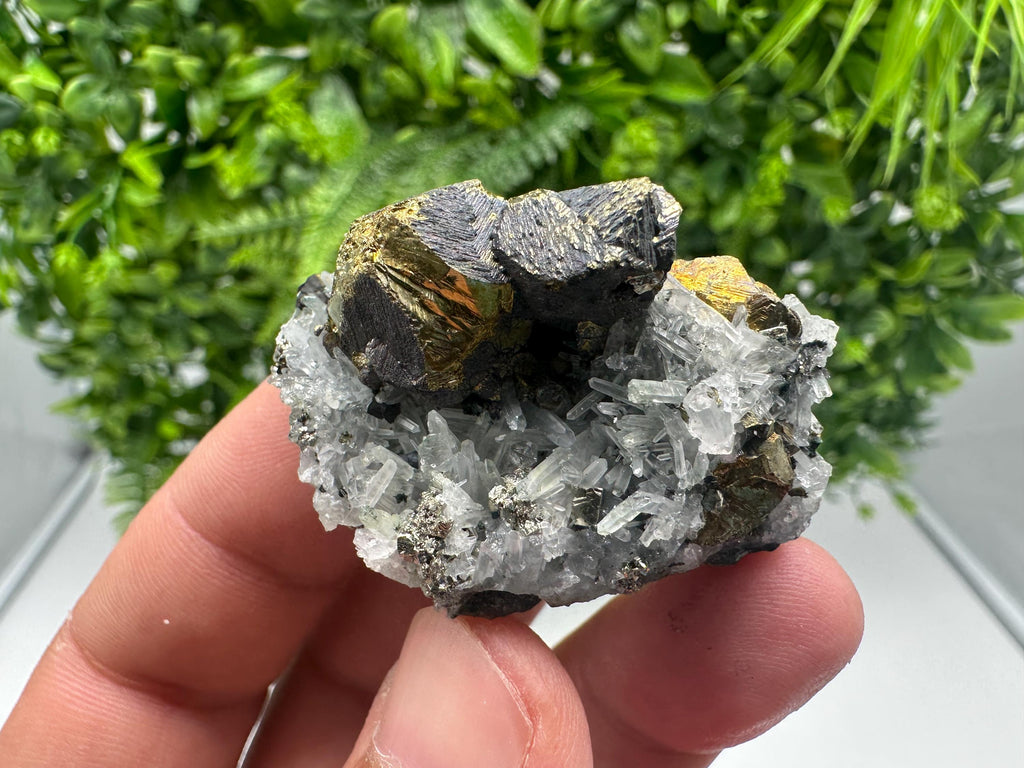 Stunning Chalcopyrite on Quartz,Chlorite From Djurcovo mine,Laki,Bulgaria,Natural,Collection mineral specimen,Home decor stone,Collection