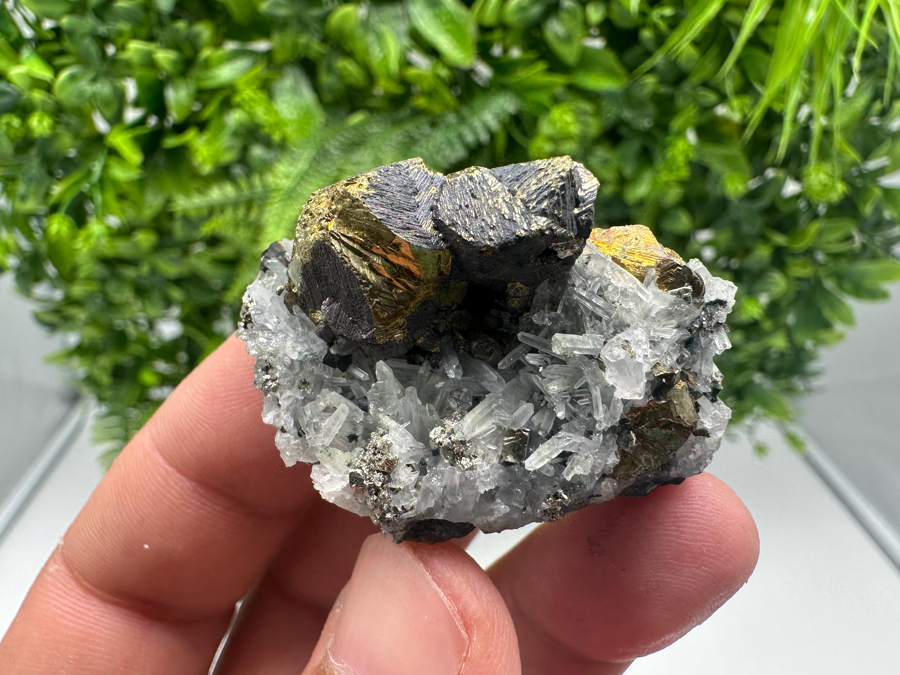 Stunning Chalcopyrite on Quartz,Chlorite From Djurcovo mine,Laki,Bulgaria,Natural,Collection mineral specimen,Home decor stone,Collection