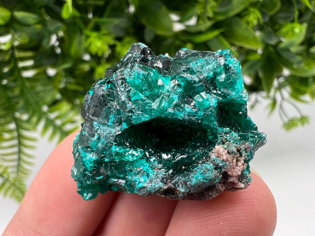 Stunning Green Dioptase from Sanda Hills,Mindouli,Pool Department,Mindouli District,Congo,green Dioptase,Dioptas Crystal,Dioptase collecting