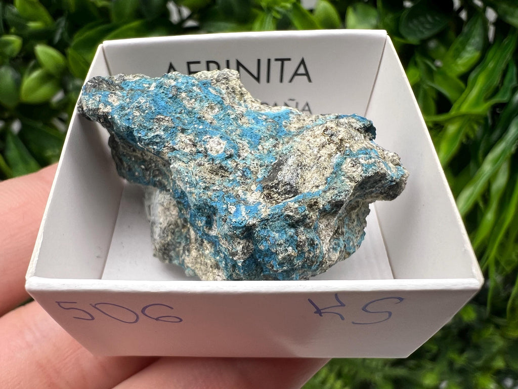 Rare Raw Aerinite Mineral Specimen: Lleida, Spain Crystal