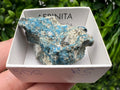 Rare Raw Aerinite Mineral Specimen: Lleida, Spain Crystal