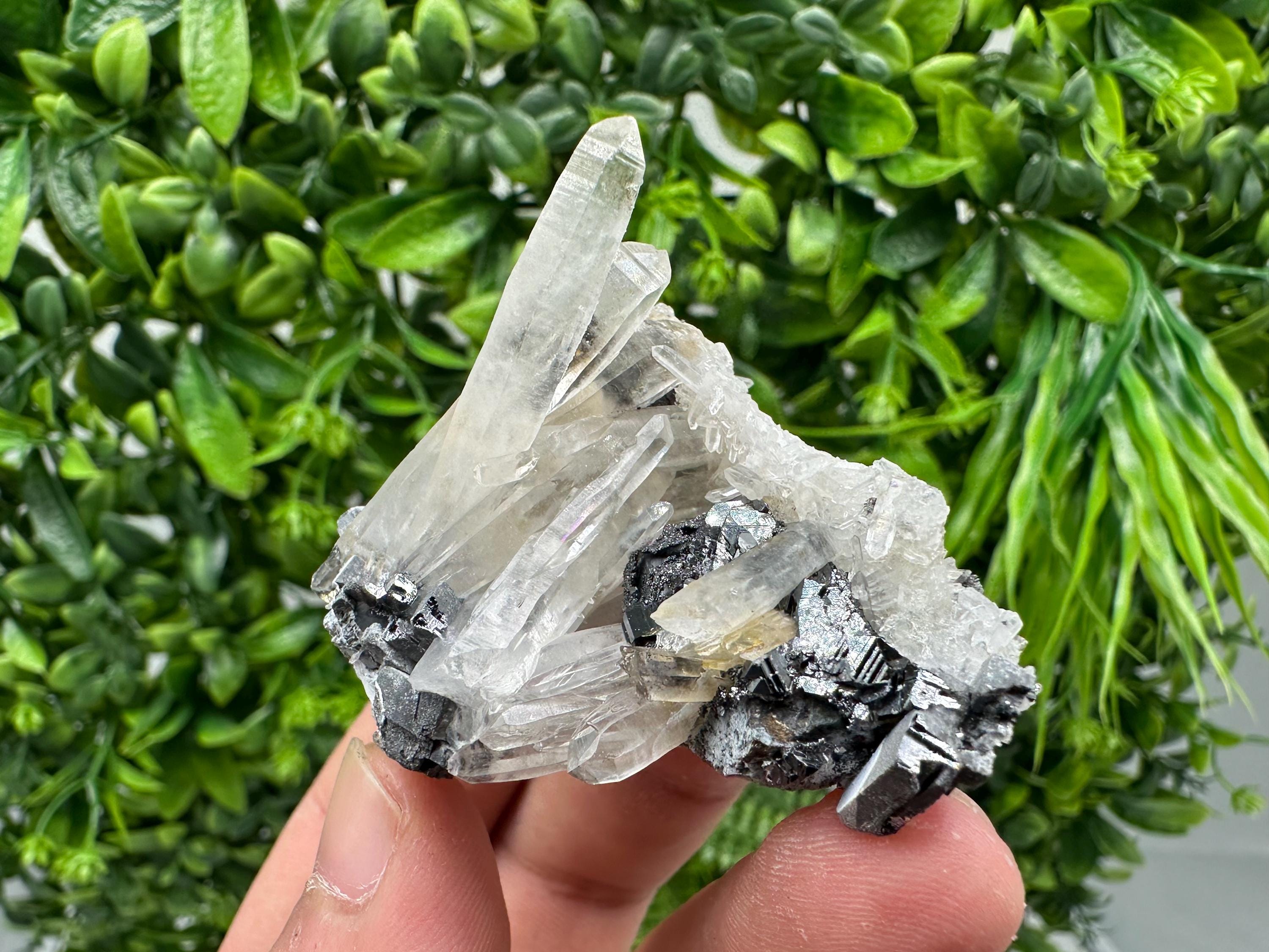 Wonderful Sphalerite Chalcopyrite on  Quartz whit Hematite feom 9 th September mine,Bulgaria,natural,collection mineral specimen,gift