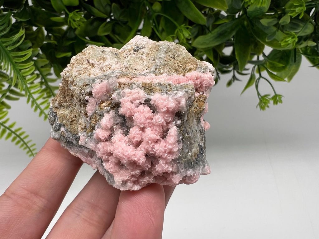 Beautiful Rhodochrosite perfect pink colour Starnica Mine Davidcovo Bulgaria natural minerals souvenir crystal gift home decor stone gift