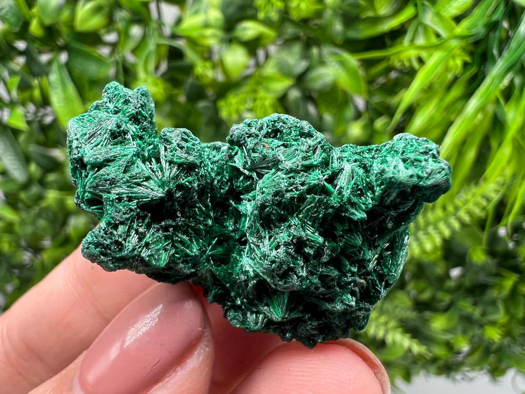 Malachite Crystal from Congo,Minerals,Crystals from Congo,Green Malachite, Malachite,Natural Malachite,Malachite Stone,Chakra, Specimens
