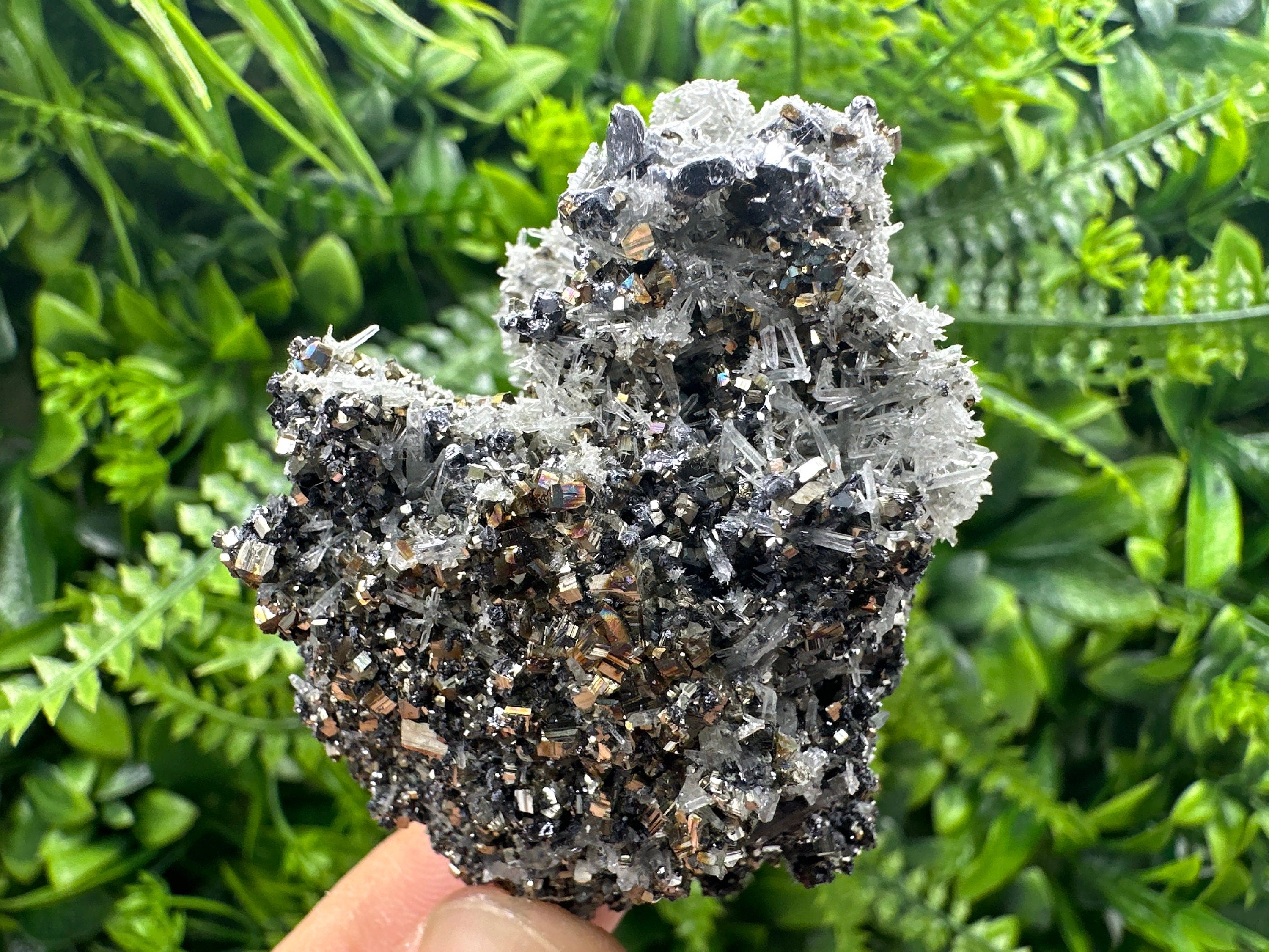 Galena Pyrite Sphalerite with Quartz, Borieva Mine Mineral Specimen