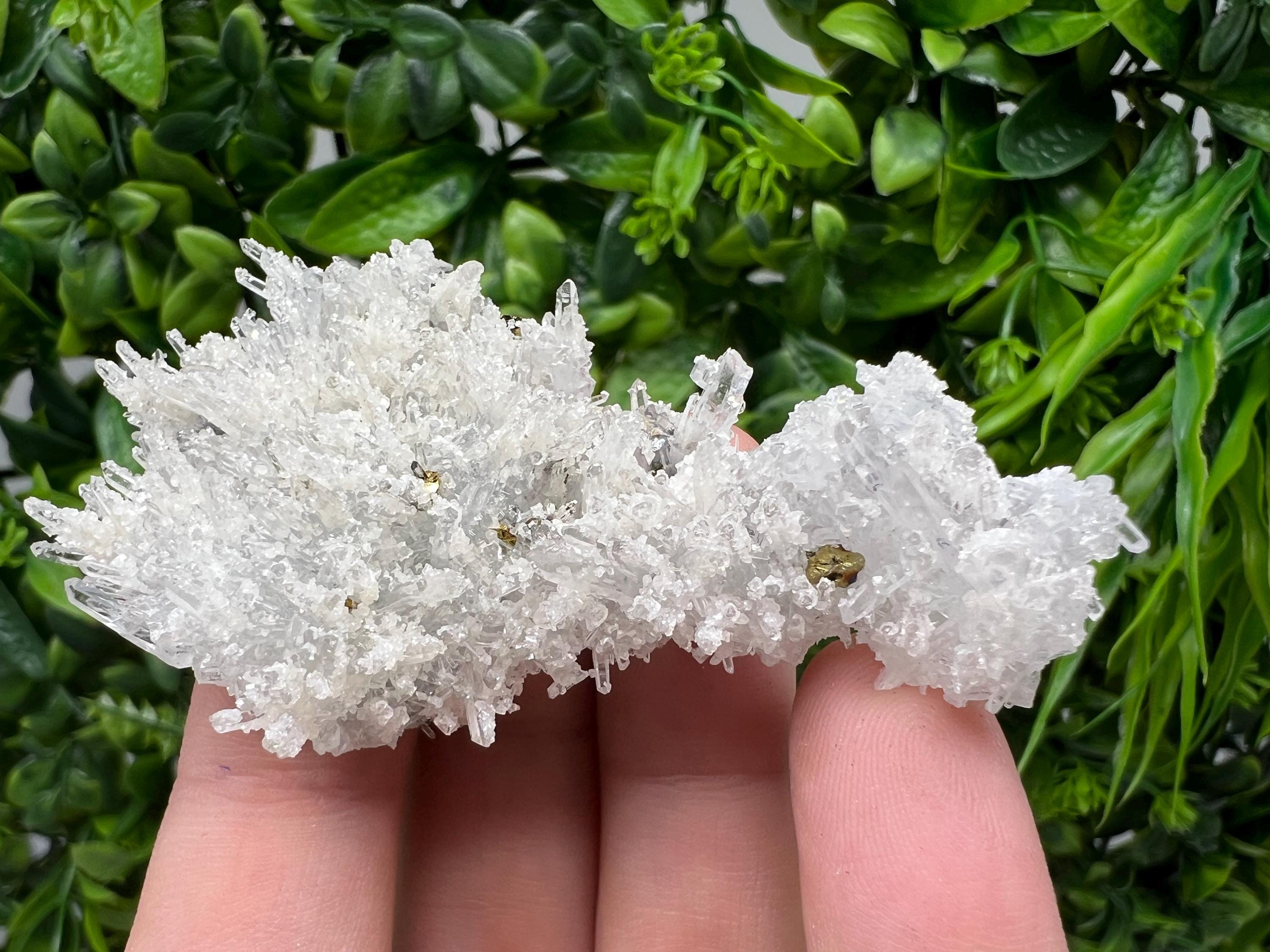 Wonderful Transparent Quartz on Chlorite Matrix,From Borieva mine,Madan,Bulgaria,Quartz,Quartz crystal,mineral specimen,collection quartz