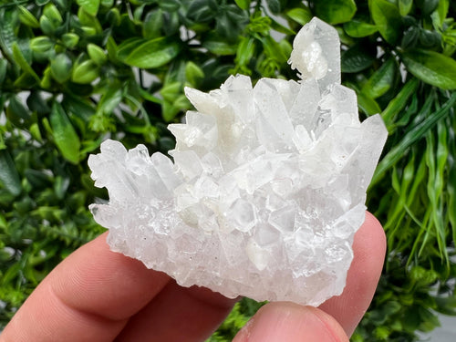Calcite on Green Quartz: Djurkovo Mine, Bulgaria Healing Crystal